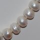 8-9mm White Button Shape Freshwater Pearl Necklace