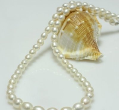 5-6mm White Rice Shape Freshwater Pearl Necklace for kids