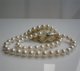 7-8mm White Freshwater Pearl Necklace